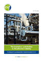 EiiF study on the industrial decarbonising potential